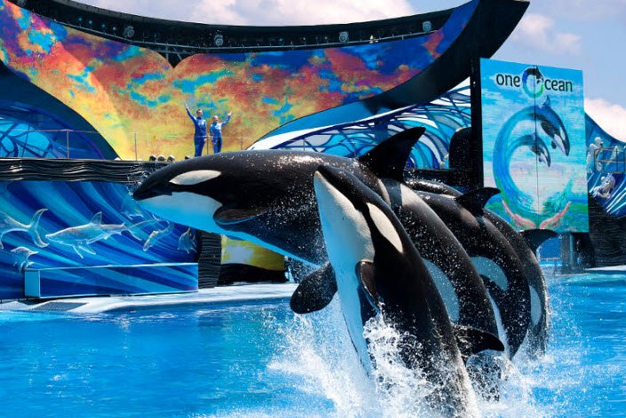 SeaWorld Orlando, Orlando, Florida, United States